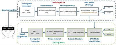Artificial neural network models: implementation of functional near-infrared spectroscopy-based spontaneous lie detection in an interactive scenario